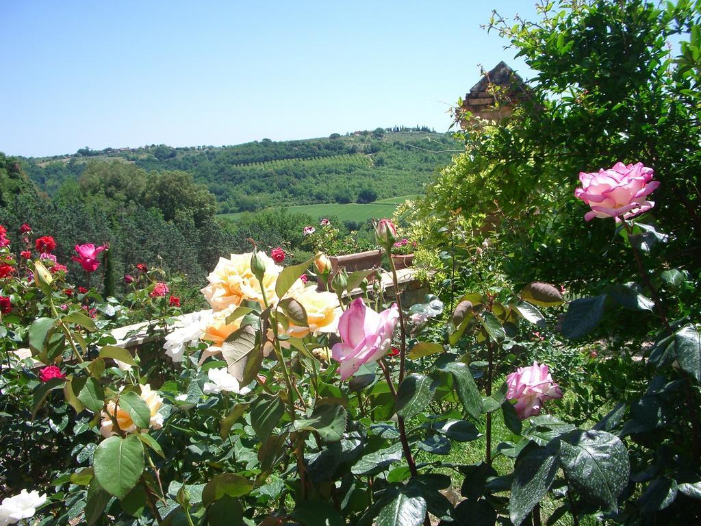 Torraccia Di Chiusi Agriturismo Relais Villa San Gimignano Exterior foto