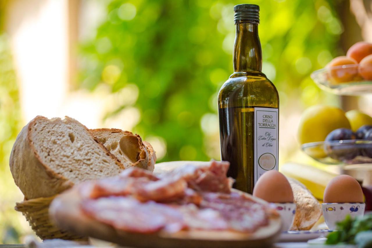 Torraccia Di Chiusi Agriturismo Relais Villa San Gimignano Exterior foto